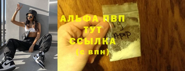 шишки Баксан