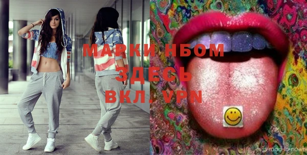 шишки Баксан