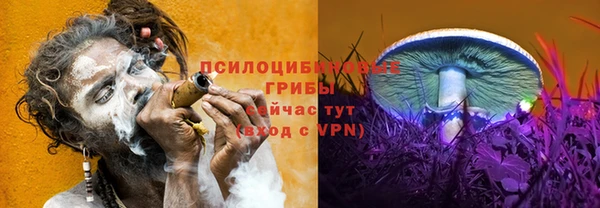 шишки Баксан